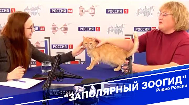 &quot;Заполярный зоогид&quot;